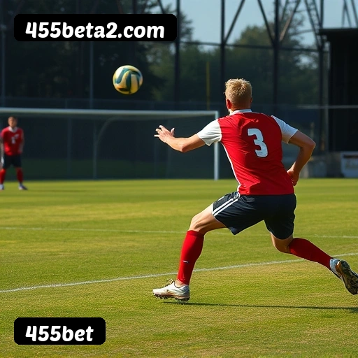 455bet PIX instantâneo Brasil - Depósito e saque em minutos 24/7